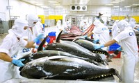 Productos de atún vietnamitas se encuentran en 97 países y territorios