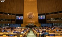 Vietnam resalta en la ONU la importancia de la solidaridad y cooperación internacional