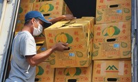 Lotes de durián vietnamita oficialmente cruza la frontera con China