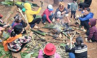 Los Sedang en la aldea de Kon H’ring celebran el festejo del arroz nuevo