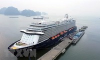 Crucero internacional arriba al puerto de Ha Long