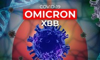 Aparece la subvariante XBB.1.5 del ómicron en Ciudad Ho Chi Minh