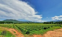 Vietnam, por una agricultura sostenible