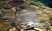 Magníficos campos de arroz en terrazas durante la temporada de crecidas