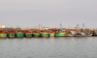 Vietnam impone sanciones drásticas contra pesca ilegal