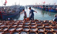 Necesitan gran fondo para proteger recursos pesqueros 