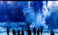 Inauguran el mayor acuario cubierto de Hanói