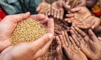 Vietnam conmemora el Día Mundial de la Alimentación
