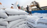 Exportación de arroz de Vietnam alcanza nivel récord