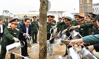 Ministerio de Defensa promueve el Festival de Plantación de Árboles