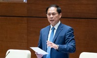 Sector diplomático continúa contribuyendo al desarrollo socioeconómico de Vietnam, afirma canciller