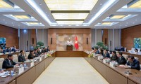 Líder parlamentario recibe a copresidentes del Comité Económico Japón - Vietnam
