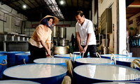 Elaboración de harina de arroz en Sa Dec: oficio tradicional reconocido como patrimonio nacional