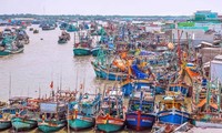 Experta australiana reconoce determinación de Vietnam en lucha contra la pesca ilegal