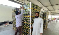 Long An amplía el camino para la exportación de limones a Oriente Medio
