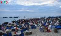Sôi động chợ cá Tam Tiến