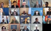 Conseil de sécurité : le Vietnam appelle à enrayer la famine au Yémen