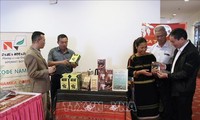 Le plan national de développement du café vietnamien