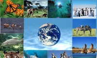 COP15 Biodiversité: des négociations en ligne pour tenter de sauver nos écosystèmes