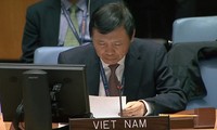 Le Vietnam assiste au débat du Conseil de sécurité sur le trafic d’armes