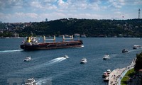 Turquie: il n'y a aucune raison d'empêcher la prolongation de l'accord sur les céréales signé à Istanbul