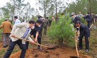 Hanoï: Plantation d’arbres en souvenir du 50e anniversaire de la signature des accords de Paris