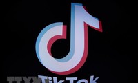 Les Pays-Bas veulent interdire TikTok sur les téléphones officiels