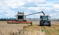 UE: Aides en vue pour des agriculteurs et restrictions sur les céréales ukrainiennes