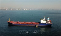 Les exportations de l’Initiative de la mer Noire ont dépassé les 30 millions de tonnes