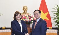  Bùi Thanh Son reçoit l'ambassadrice d'Égypte au Vietnam 