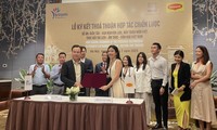 Un projet pour promouvoir le tourisme et la cuisine du Vietnam