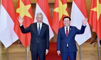 Le Premier ministre singapourien reçu par Vuong Dinh Huê