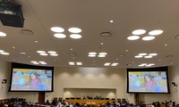 Le Vietnam partage son engagement pour l'autonomisation des femmes lors d'une session à l'ONU