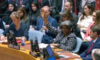 Conflit Hamas-Israël: Échec au Conseil de sécurité pour l'adoption de la résolution brésilienne appelant à un cessez-le-feu