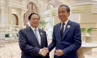 Rencontres de Pham Minh Chinh en marge au sommet entre le CCG et l’ASEAN