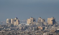 Conflit Hamas-Israël: Feu vert pour une trêve à Gaza et la libération d'otages israéliens