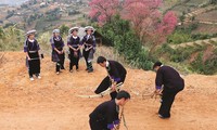 Le khên des Mông de Yên Bai