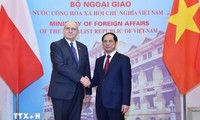 Renforcement des relations Vietnam-Pologne: consultations politiques et coopération bilatérale