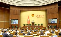 Assemblée nationale: Dà Nang et Nghê An en passe d’obtenir un statut privilégié