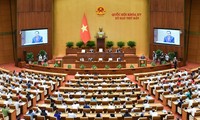 Gestion des ressources naturelles: Le ministre Dang Quôc Khanh au centre des débats
