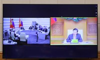 Réunion en ligne entre les vice-Premiers ministres vietnamien Trân Hông Hà et russe Dmitry Chernyschenko