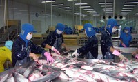 เวียดนามพยายามส่งออกปลาสวายให้ได้ 2 พันล้านเหรียญสหรัฐ 