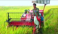 นครโฮจิมินห์ส่งเกษตรกรไปเรียนรู้ประสบการณ์ในต่างประเทศ