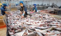 สหรัฐปรับภาษีนำเข้าปลาสวายของเวียดนาม