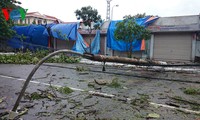 พายุคัลเมจิส่งผลให้หลังคาและบ้านเรือนประชาชนได้รับความเสียหาย