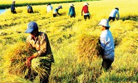 日本は農業分野でベトナムと協力する用意がある。