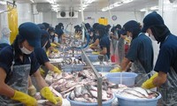 การเสวนาเกี่ยวกับการส่งออกปลาไม่มีเกล็ดของเวียดนามไปยังตลาดยุโรปให้ยั่งยืน