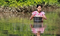 อาเซียนพยายามช่วยเหลือผู้เคราะห์ร้ายจากเหตุน้ำหลากและน้ำท่วมในพม่า