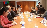 ประธานรัฐสภาเหงียนซิงหุ่งพบปะกับประธานสภาล่างญี่ปุ่น