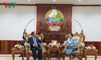 ประธานรัฐสภาลาว ปานี ยาท่อตู้ให้การต้อนรับรองประธานรัฐสภาเวียดนามโด๋บ๊าติ
